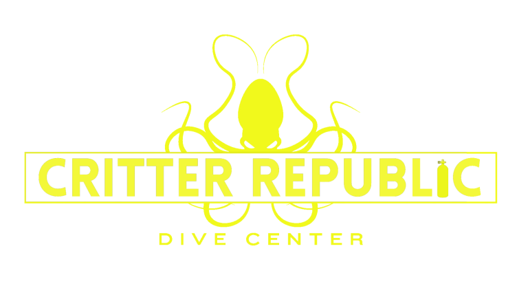 scuba diving dumaguete